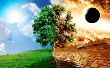 عندما يصبح الجهل باب الشرّ